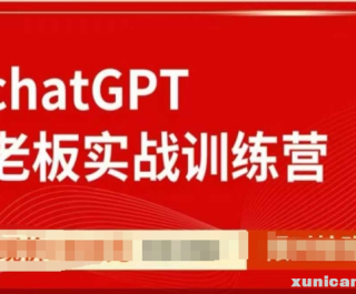 CHATGPT老板实战训练营，用GPT带飞，一人顶一个团队
